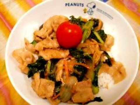 野菜たっぷり☆スタミナ丼♪